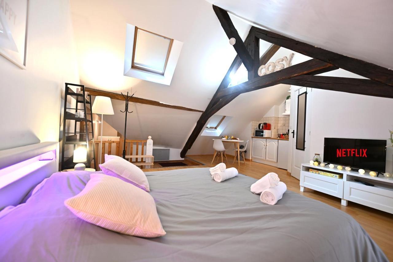 Le Cosy Du Tambour D'Argent Lägenhet Sens Exteriör bild